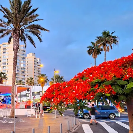 Ocean Panorama - In Playa De Americas Tenerife * Плая-де-лас-Америкас